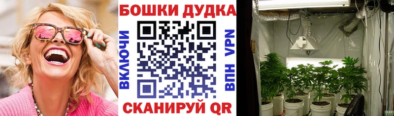 Шишки марихуана MAZAR  цены   Новая Ляля 